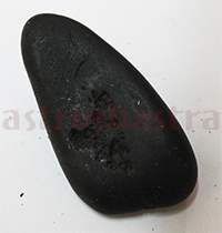 Shaligram 10742 75gm